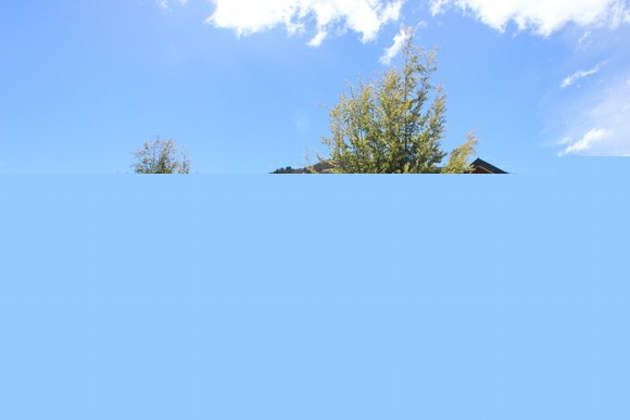 ý˶ʿҵ