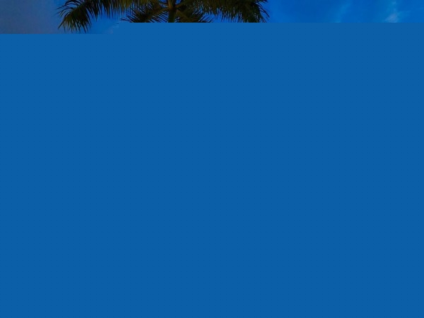 װapppoly¼ȡҪ
