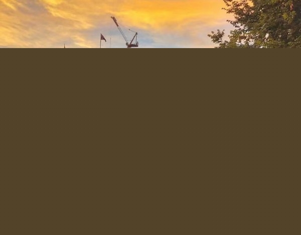ɶרҵþҵ