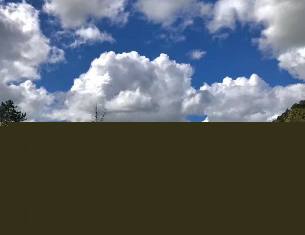 רҵȥƷ