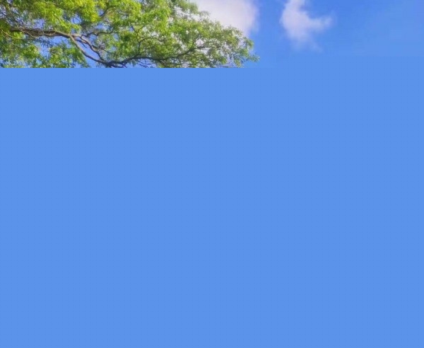 ¿ѧ˶ʿо