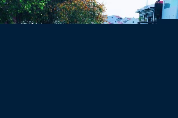 Ǵѧר