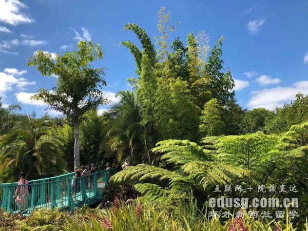 新西兰奥克兰大学硕士
