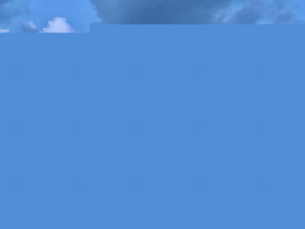 װappЩĸ