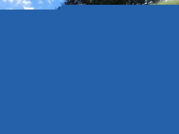 ¿ѧѧϵ