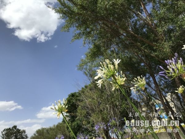 ް˴Уqs