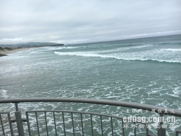 �¿�����ѧ�̿�רҵ������������Ʒ��