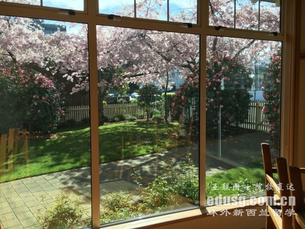 �¿�����ѧ��������