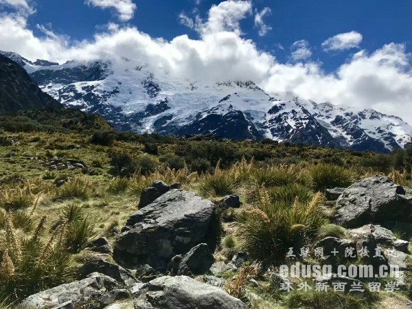 �¿���������ѧũҵרҵ