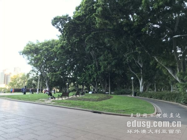 �Ĵ������о���һ��ѧ��