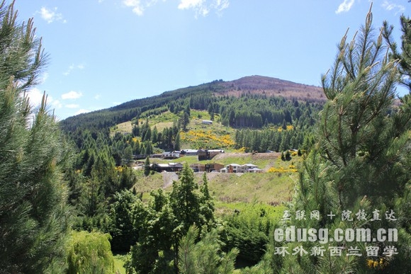 �������ѧ�̿�רҵ�о���������������Ʒ��