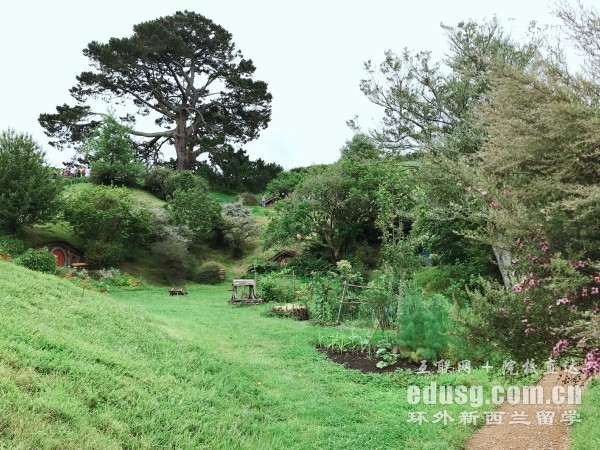 ÷����ѧ���רҵ�о���