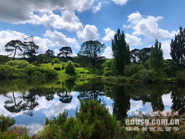 �¿�����ѧ���רҵ������������Ʒ��