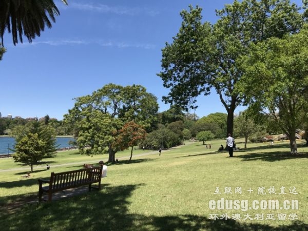 �Ĵ����Ǵ�ѧ˶ʿ�̿�