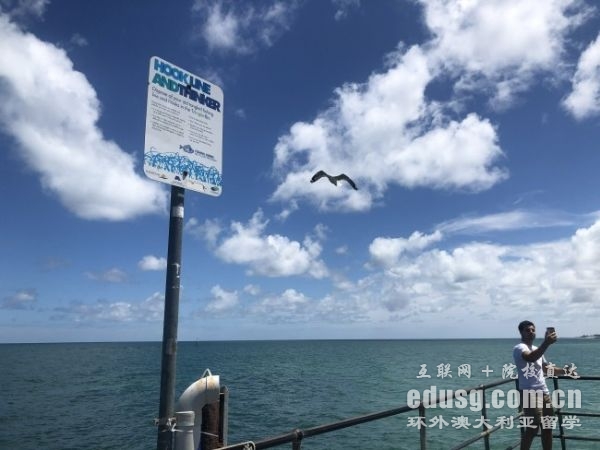 �Ĵ��������Ѿ�רҵ