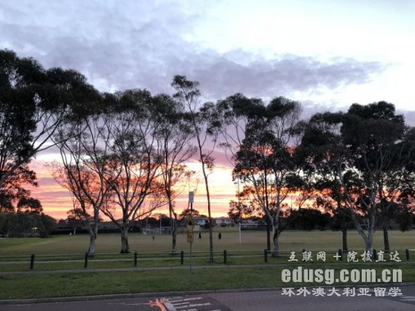 �Ĵ���������רҵ