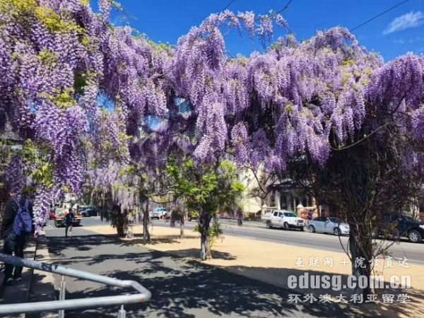 �Ĵ���������רҵ