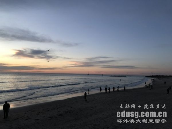 �Ĵ�������רҵ