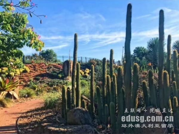 ���Ĵ����Ǳ�����������Ʒ��