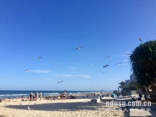 �Ĵ�����ҽѧ����