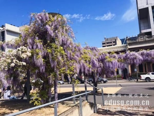 ��������Ĵ����Ǵ�ѧ