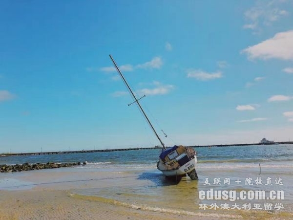 �Ĵ����ǵ�Ӱ����רҵ