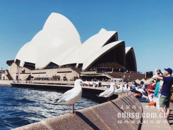 �Ĵ����Ǵ�ѧԤ������