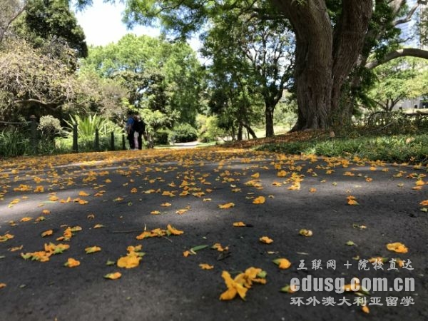 �Ĵ�����ղķ˹��˴�ѧ