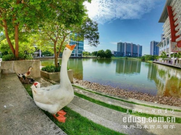 ̩����ѧ���ι�������