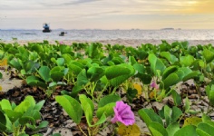 ̩�����ʴ�ѧ��������