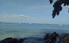 ̩���뾳��������2024